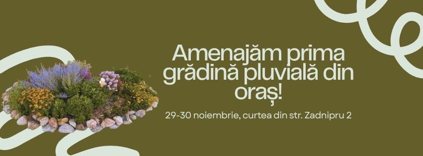 Atelier public: amenajăm prima grădină pluvială din oraș