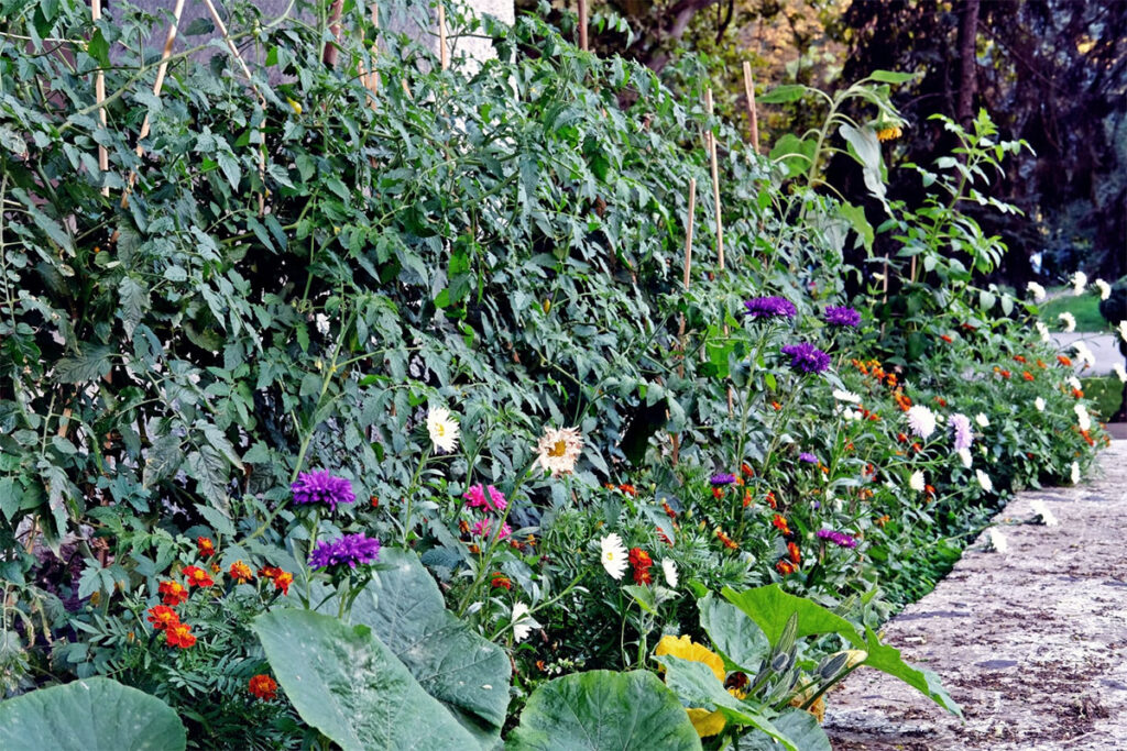 Access to Gardening in Public Spaces in Chișinău